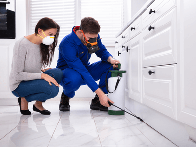About GreenTrap Rodent Control - pest control experts in Kewdale